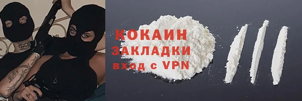 тгк Алексин