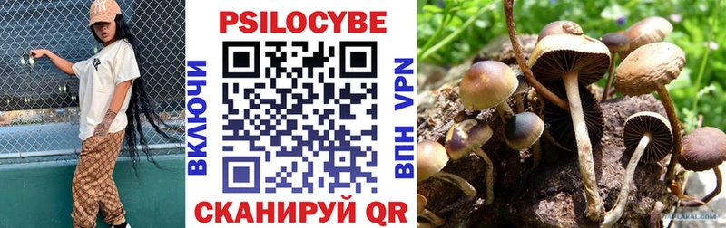 Галлюциногенные грибы Magic Shrooms  Губкин 
