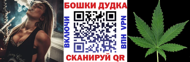 Бошки марихуана OG Kush хочу наркоту Губкин